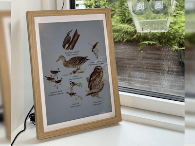 A Raspberry Pi 5 E Ink Frame That Paints the Birds It Hears
